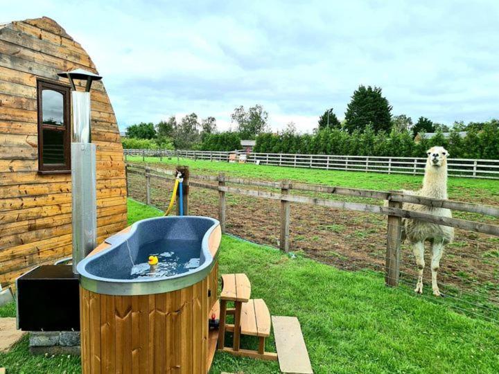 Skipbridge Farm Glamping York Exterior foto